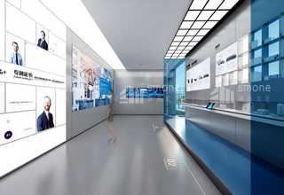 上海白番茄有用吗