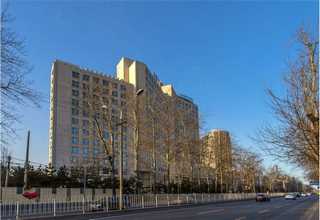 兰溪消食麦力士新派红曲酒推荐厂家