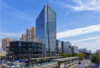 湖南提供糖原染色试剂盒厂家直销